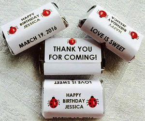 72 MARIENKÄFER Geburtstag personalisierte Verpackungen/Aufkleber GEFÄLLIGKEITEN 4 HERSHEY MINIATUREN - Bild 1 von 1