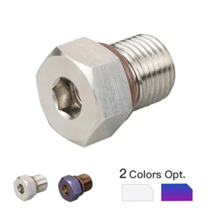 Magnetic Oil Drain Plug W/ O-Ring for Harley Street Glide CVO FLHXSE 1999-2022 - Picture 1 of 14