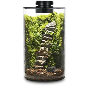 Terrario de plantas de vidrio de escritorio con luz de crecimiento (H:9,8" D:5,9"), para suculentas,... - Imagen 1 de 6