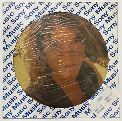 RICKY MARTIN Fuego Contra Fuego LP Vinyl PICTURE DISC NEW SEALED 1991 Mexico - Image 1 of 3