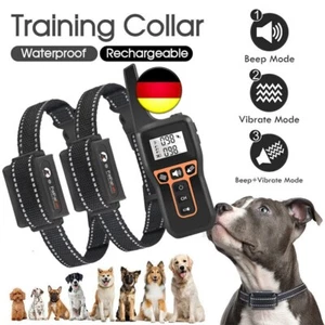 1000M Remote Electric Dog Training Collar Shock Anti Bark Rechargeable Halsband - Bild 1 von 17