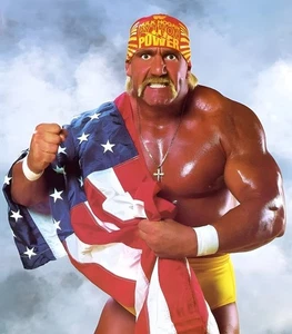 9x12 Hulk Hogan WWE Poster Wrestling Champ USA Flag - Picture 1 of 1