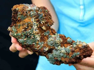 8" Golden Wulfenite w/Green Botryoidal Mimetite, Ojuela Mine, Durango, MX! MW151 - Picture 1 of 6