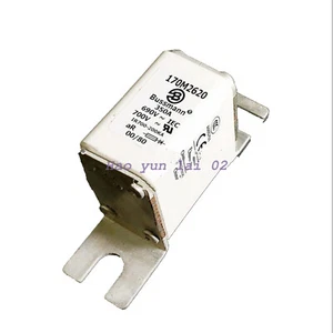 1 PIEZA FUSIBLE Cuerpo Cuadrado BUSSMANN 170M2620 690V 350A Nuevo - Imagen 1 de 1