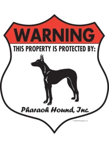 Achtung! Pharaoh Hound Eigentum geschützt - Vorsicht Hund Aluminium Hundeschild - 7 x 8 - Bild 1 von 4