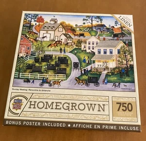 Masterpieces 750 Piece Puzzle Called Sunday Meeting - Open Box - Picture 1 of 4