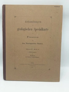 Speyer Die Bivalven der Casseler Tertiär-Bildungen. 31 Tafeln Abbildungen mit.. - Bild 1 von 3