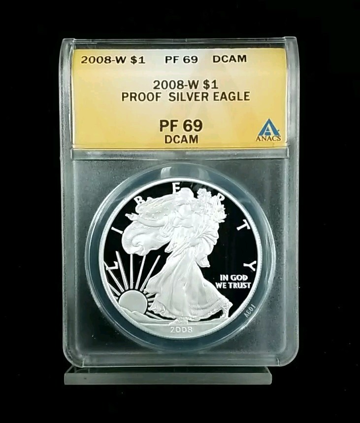 2008 ブリタニア 銀貨 NGC PF69UCウルトラカメオ スラブ欠けあり 2008 ブリタニア 銀貨 NGC PF69UCウルトラカメオ スラブ欠けあり