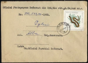 Romania  1965  SNAKE: Anguis Fragilis,   @ cover - Picture 1 of 2