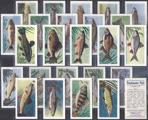 AMALGAMATED TOBACCO-FULL SET- FRESHWATER FISH 1958 (25 CARDS) EXCELLENT+++ - Picture 1 of 4