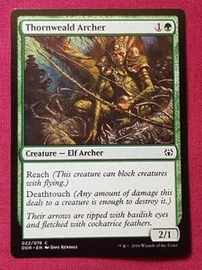Magic The Gathering DUEL DECKS NISSA VS OB NIXILIS THORNWEALD ARCHER card MTG - Picture 1 of 2