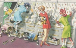 Postal Alfred Mainzer Humor Gatos en Tienda de Cartas Intenta Atrapar Ratones 4989 - Imagen 1 de 2
