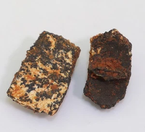 Panzerplatten, Schildkröte, Tertiär, Miozän, Titting b. Eichstätt, D -m167 - Picture 1 of 6