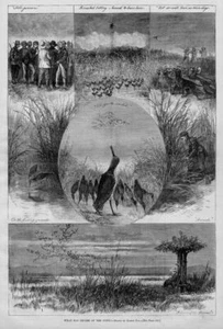 HUNTING SHOOTING SNIPE WITH DOGS LONG ISLAND SNIPE HUNT - Picture 1 of 1