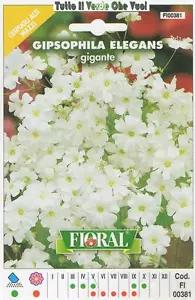 GIPSOPHILA ELEGANS IN MISCUGLIO - CESPUGLI ALTI MAZZI-FLORAL - BUSTA SEMENTI - Foto 1 di 1