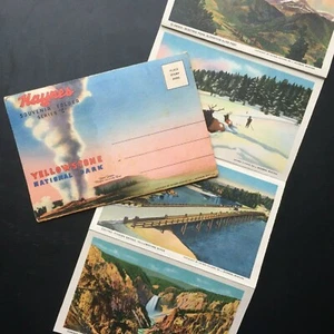 Yellowstone Park Vintage Souvenir Ordner von Haynes Serie C  - Bild 1 von 9