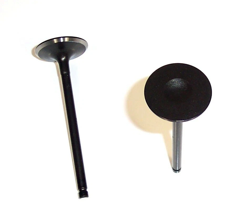 2000-2002 SE ADAPTA A INFINITI G20 NISSAN SENTRA 2.0 DOHC L4 16V VÁLVULAS DE ADMISIÓN 8 CADA UNA Foto 1 de 1