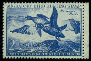 US #RW19, $2.00 Harlequin Ducks, og, LH, small thin, Scott $90.00 - Picture 1 of 1