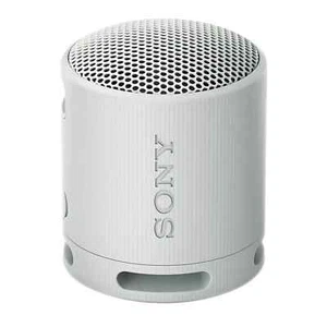New Sony XB100 Wireless Bluetooth Portable Lightweight Travel Speaker - SEALED - Picture 1 of 4