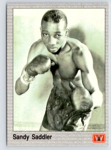 1991 All World Card, #133 Sandy Saddler Hall of Fame, Boston, Massachusetts - Foto 1 di 3