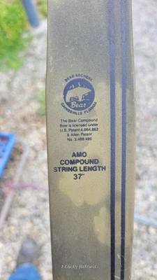 Bear Compound Bow's 3 Total With Arrows And Carry Bag - Image 1 of 4