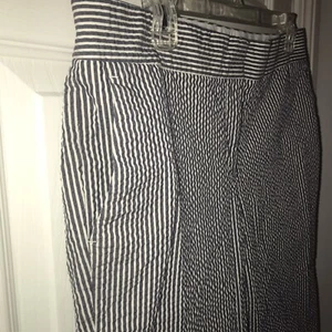 Ann Taylor Devin Fit Blue White Striped Seersucker Straight Fit Pants Sz 10P - Picture 1 of 10