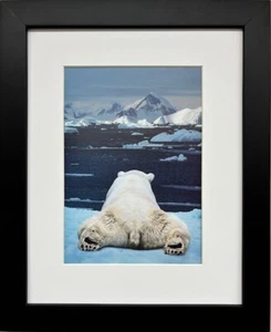 Arte Lobo "Sueño de un Oso Polar" Enmarcado Personalizado Vida Silvestre Arte Vida Marina ¡NUEVO! - Imagen 1 de 3