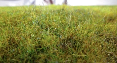 WWS Summer 2mm Basing Estático Hierba Ferrocarril WarGames Paisaje WWSG2.3 - Imagen 1 de 4