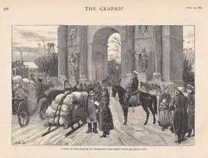 1881 Siete grabados - asesinato del zar Alejandro II - preparativos funerarios - Imagen 1 de 7