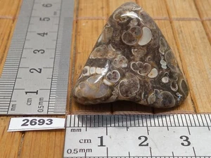 Agate turitelle pierre roulée naturelle importée des USA 14,4g turitellas jaspis - Picture 1 of 4