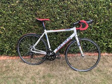 carrera karkinos 7005 t6