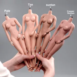 1/6 Suntan/Pale/Normal Large Bust Breast Seamless Body For 12''Female Figure Toy - Picture 1 of 42