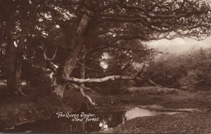 The Queen Bowler New Forest England RP Postkarte RPPC - Bild 1 von 2