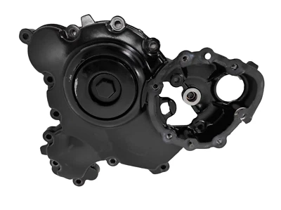 CARTER MOTORE CON GRAFFI TRIUMPH SPEED TRIPLE  1050 2008/2010 T1261219 - Immagine 1 di 4