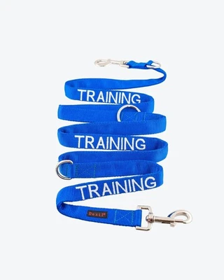 Dog Double Ended Training Lead - TRAINING - Blue - image 1 of 4