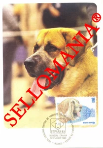 1983 TARJETA MAXIMA CARD PERROS RAZA MASTIN ESPAÑOL PUREBRED DOGS 2712 TC22727 - Imagen 1 de 1