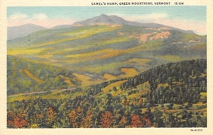 Postkarte Vintage: Kamelbuckel, Green Mountains, Vermont, Vintage Leinen verschickt 1954 - Bild 1 von 2