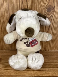 Peluche Peanuts Snoopy Brother Canicas 2009 Cedar Fair 9” peluche - Imagen 1 de 11