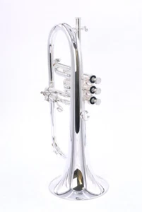 Back in stock!   Wonderful  Brasspire Unicorn 850 Flugelhorn in Silver Plate - Picture 1 of 16