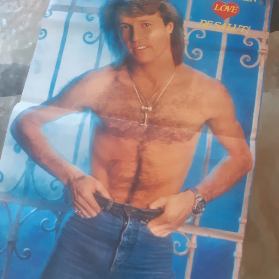 ANDY GIBB Poster - Photo 1/1