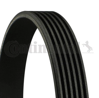 6PK2225 CONTINENTAL CTAM V-Ribbed Belt for FORD,FORD AUSTRALIA,FORD USA,JEEP,MER - Image 1 of 1