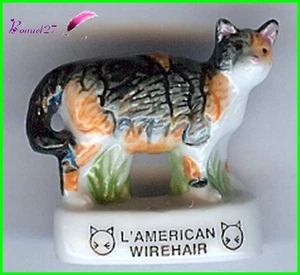 Feve Les Races de Chat Cat Edition Atlas " L' American Wirehair " #A1 - Imagen 1 de 1
