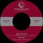 291out - Wellington - 7 Inch Vinyl - TS4501 - NEW