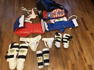 Taekwondo Sparring Gear protector set !! Child Large And X-Large With Bag - Picture 1 of 13