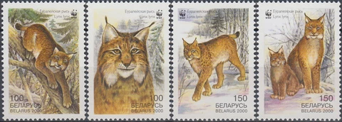 Belarus WWF Eurasian Lynx 2000 MNH-3,50 Euro Cover