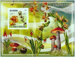 A1467- Foglio Souvenir SAO TOME E PRINCIPE, ERROR IMPERF: 2009 Funghi, Orchidee - Foto 1 di 1