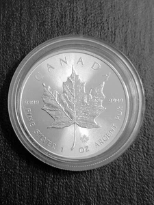 Moneda de 5 dólares Canadá 2015 hoja de arce de plata - 0,9999 fina - BU - - Imagen 1 de 2