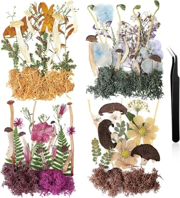 Nuanchu干压花散装蘑菇适用于工艺品原始颜色  — 第 1/4 张图片