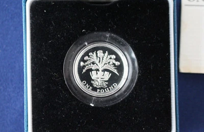 1984 United Kingdom One Pound Silver Proof Royal Mint £1 Coin and Case E0872 - Image 1 of 4