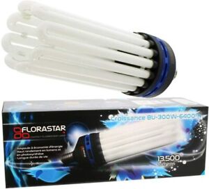Lampe CFL 300W Croissance Florastar - 6400K°  13500 lumens